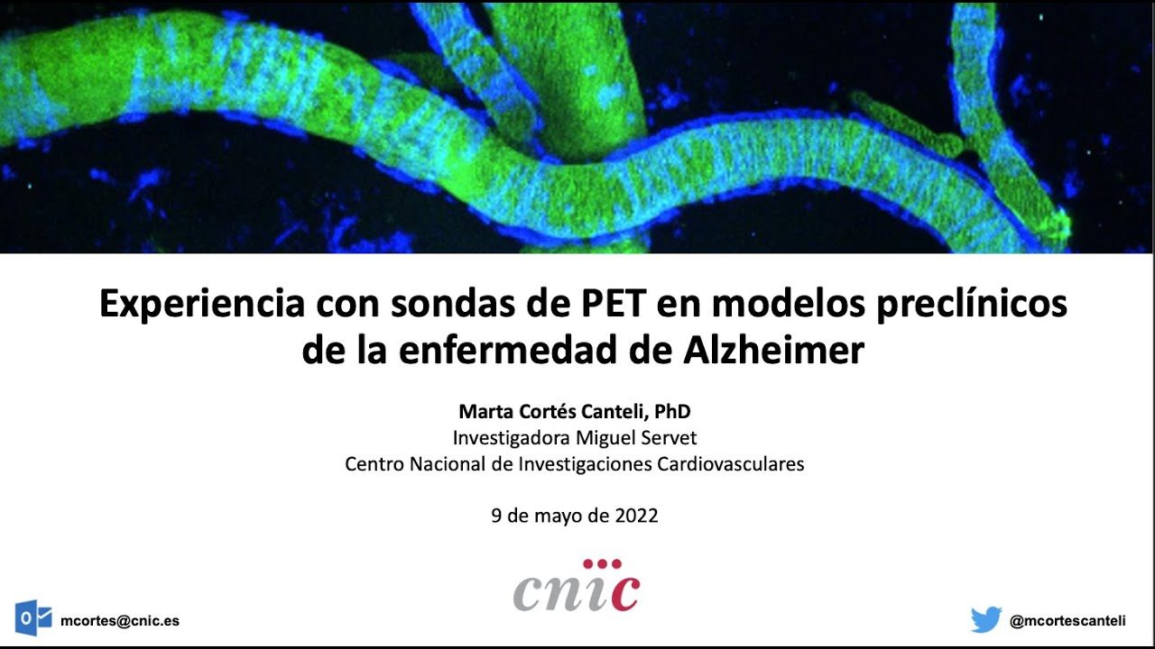 miniatura del curso