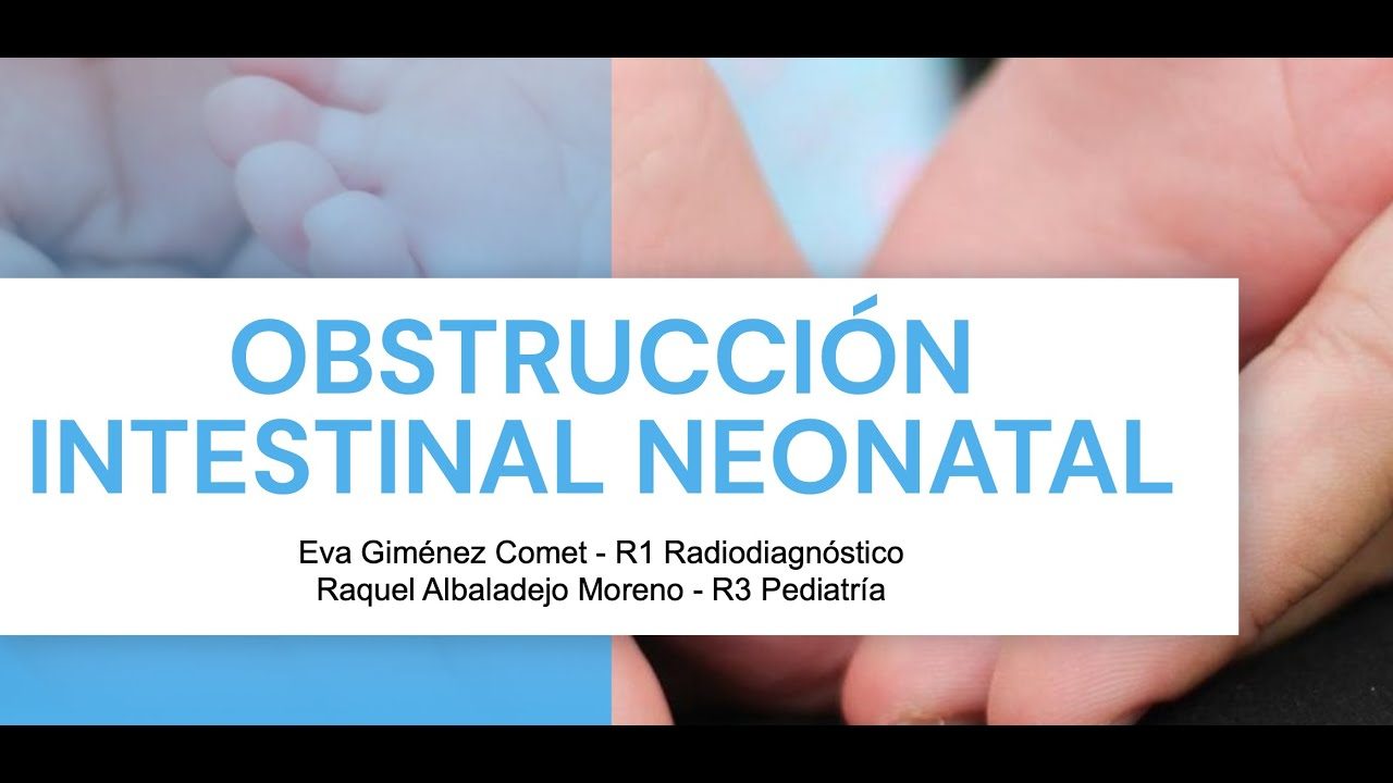 miniatura del curso