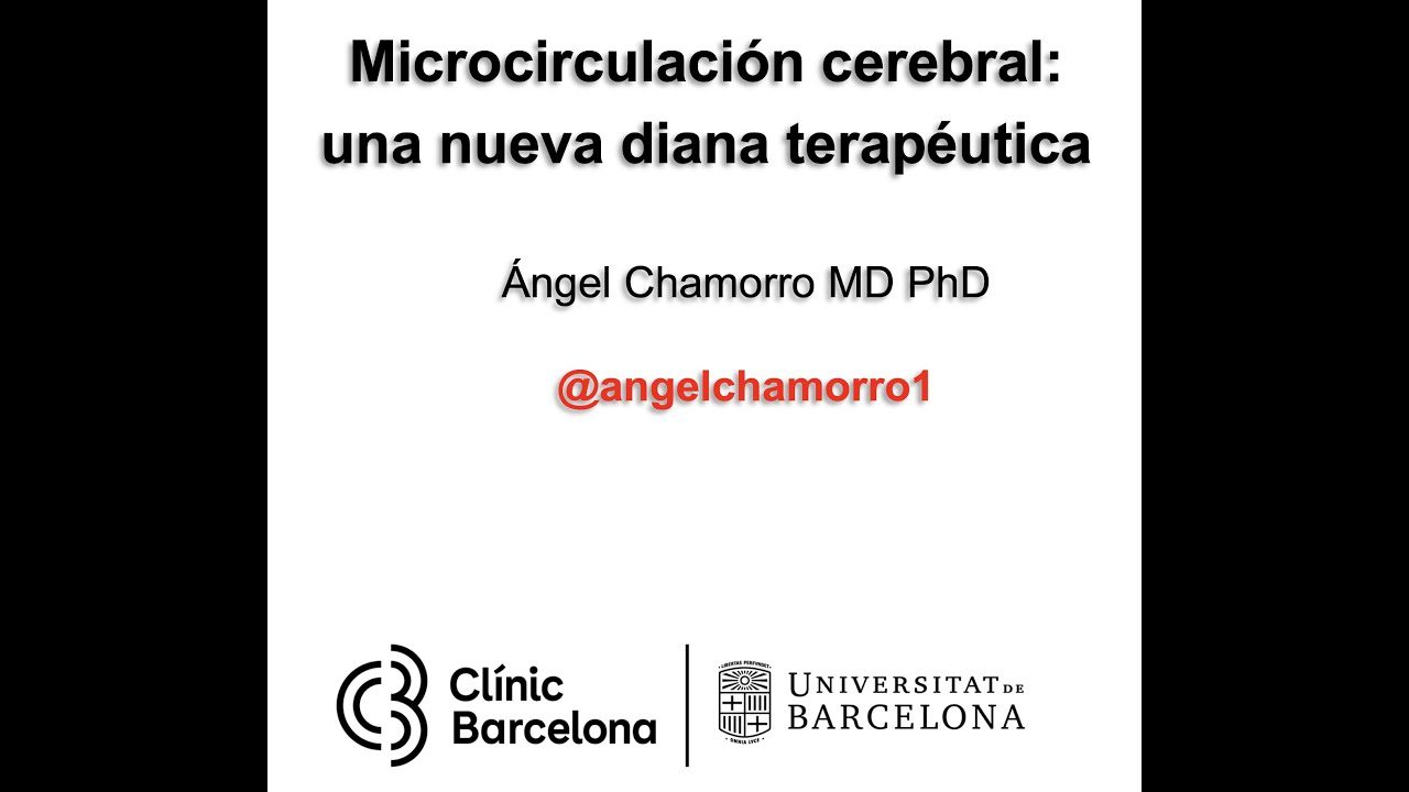 miniatura del curso