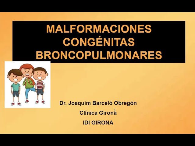 miniatura del curso